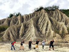 田寮月世界-高雄-貓貓達