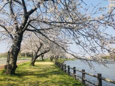 勢至公園-仁贺保市-YoYo_1S9K1J3J