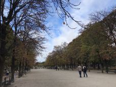 卢森堡公园-巴黎-cyd80