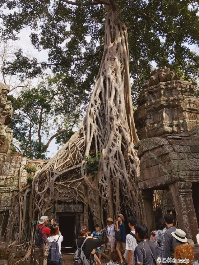 Ta Prohm