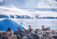 彼德曼岛景点图片