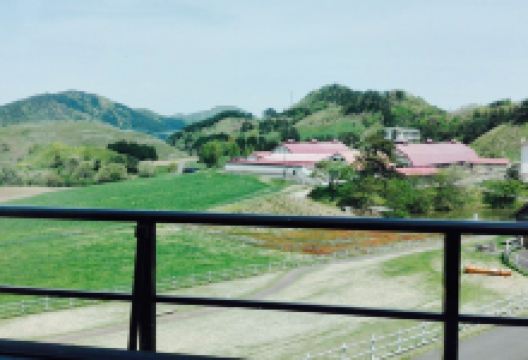 Ikarikogen Steakhouse美食图片