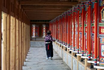甘南拉卜楞寺+桑科草原+甘加秘境一日【精品纯玩无购物包车游】【精品纯玩私家团，管家式服务，一团一单】