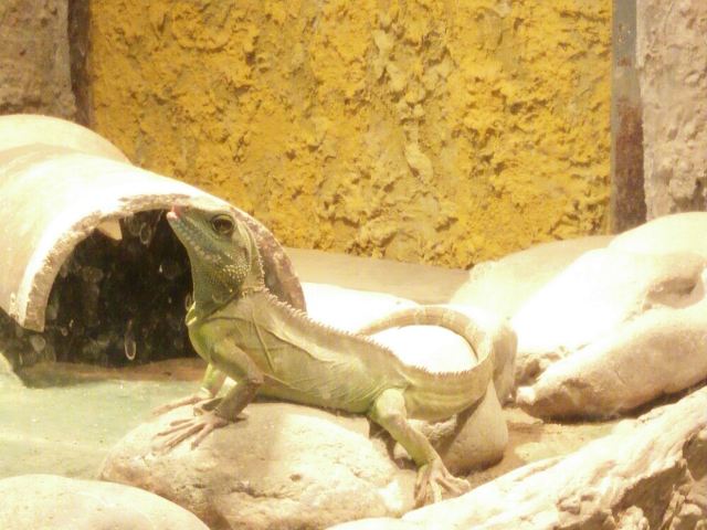 Beijing Zoo