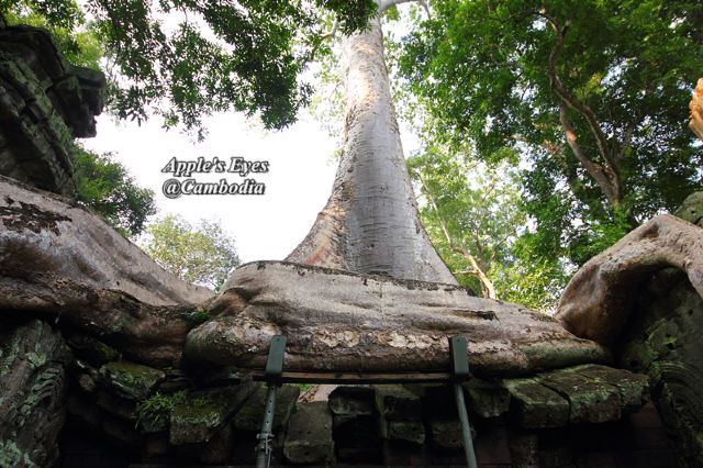 Ta Prohm
