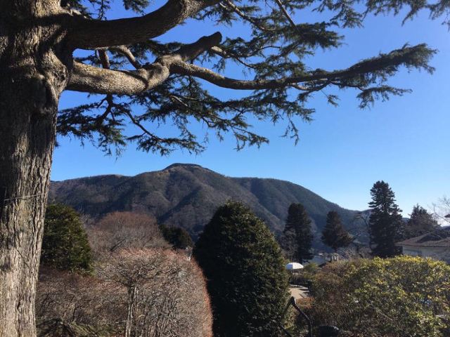 箱根強羅公園