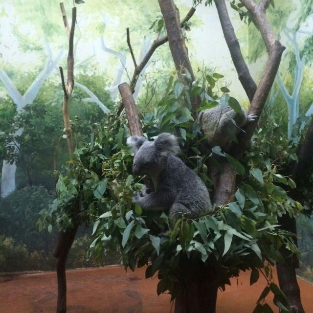 Chimelong Paradise