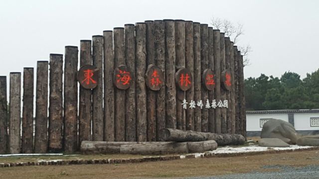 청송령 삼림공원