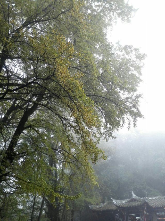 몽정산