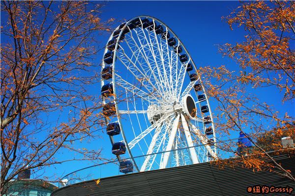 Navy Pier