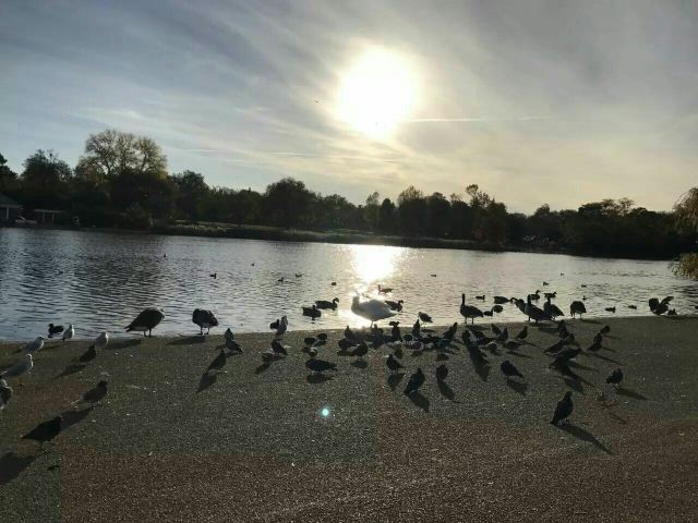 Hyde Park
