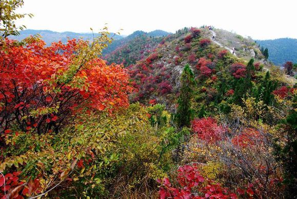 양톈산 국가삼림공원