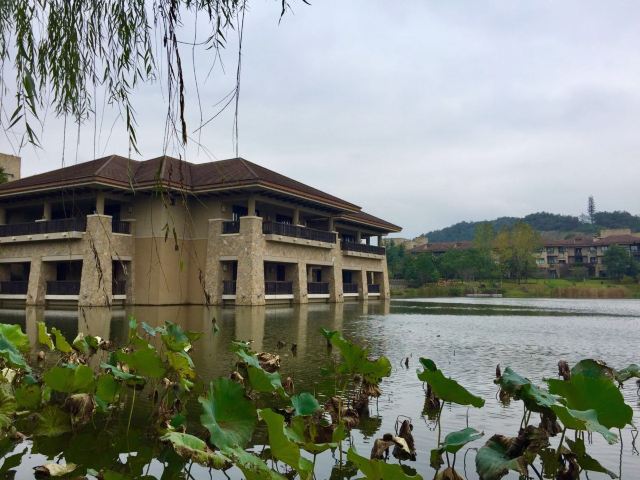 良渚文化村