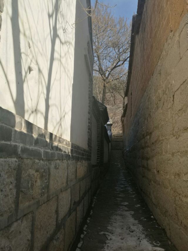 주자위