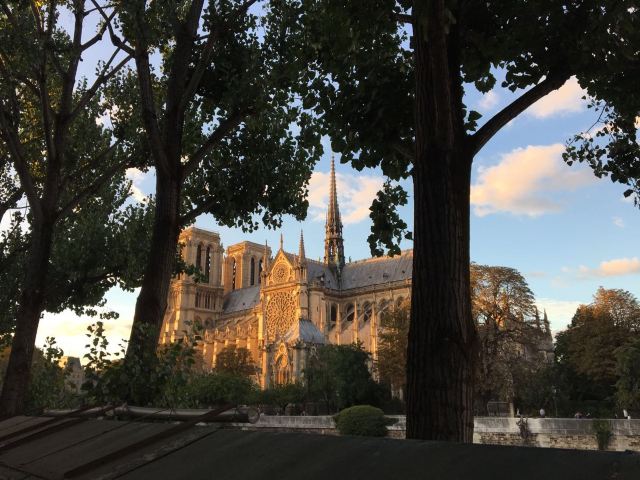 Cathédrale Notre-Dame de Paris