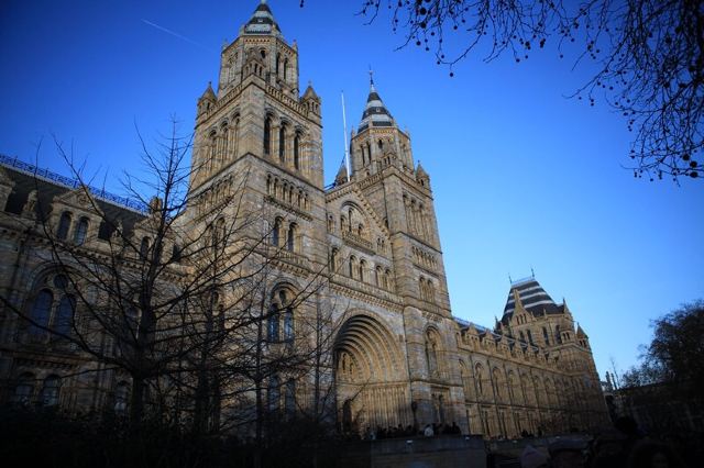 Natural History Museum