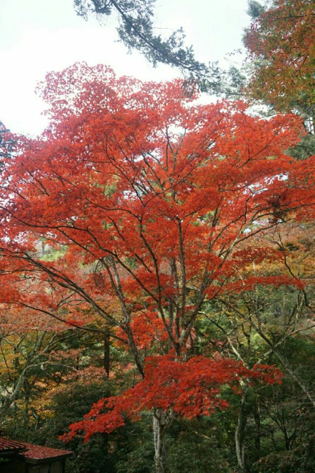 Seto Inland Sea
