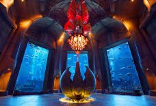 迪拜水族馆和水下动物园-迪拜-doris圈圈