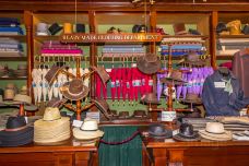 疏芬山-Golden Point-doris圈圈