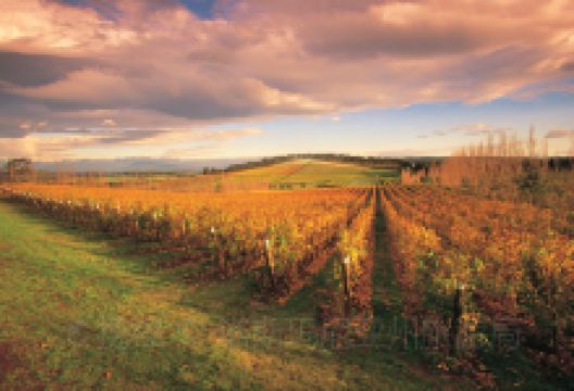 珀斯旅游图片-美酒佳肴饕餮两日游