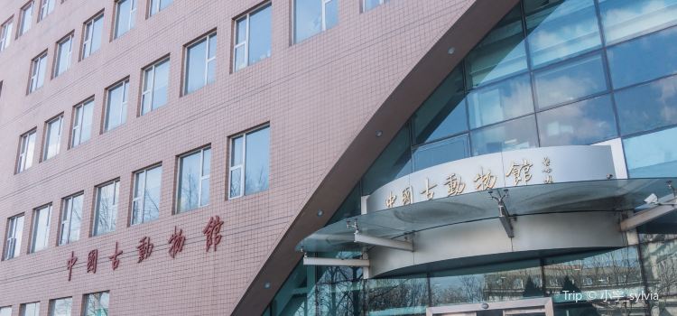 The Paleozoological Museum Of China Tickets Deals - 