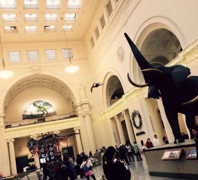 The Field Museum
