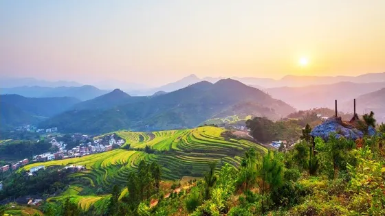 坪山梯田旅遊區