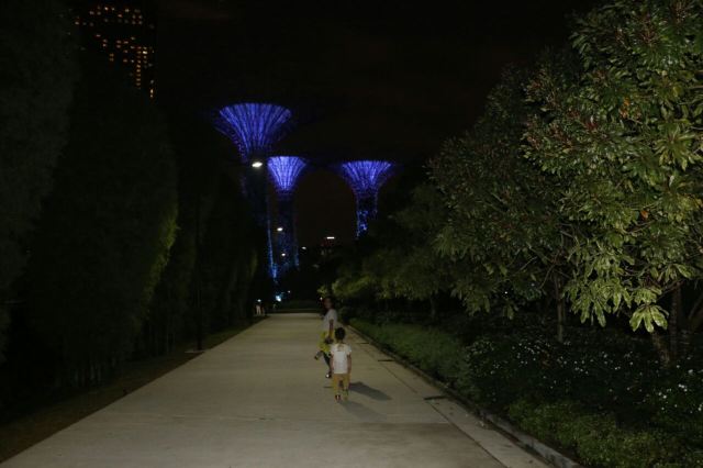 Sands SkyPark