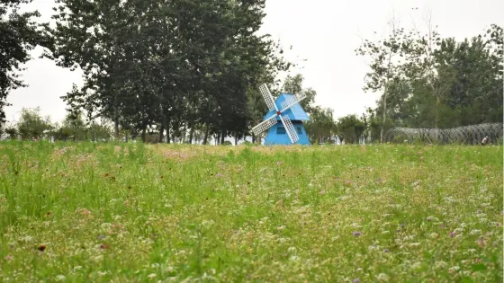 海岸櫻源