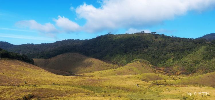 Horton Plains National Park Travel Guidebook Must Visit