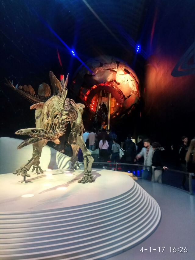 Natural History Museum