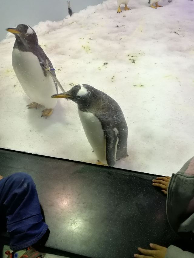Grandview Aquarium