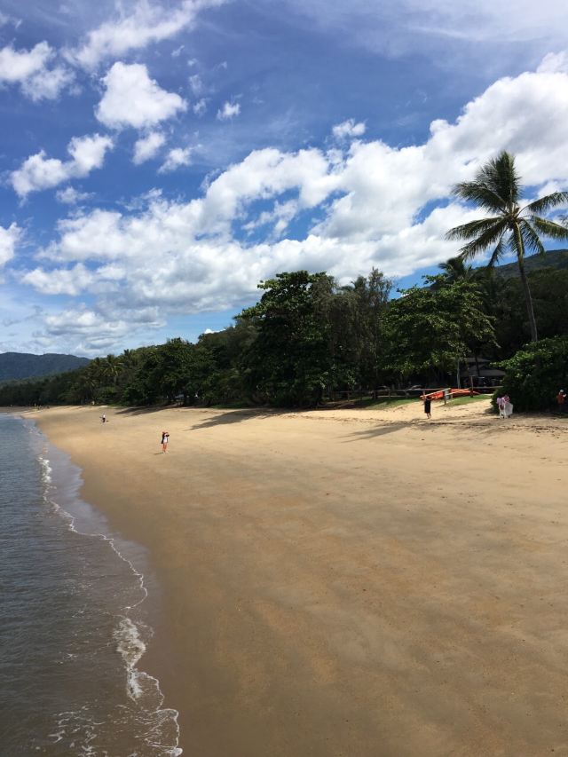 Palm Cove