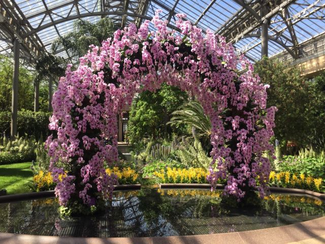 Longwood Gardens Attractions Tarajiang Philadelphia County