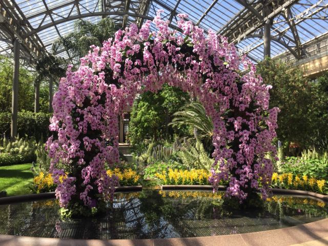 Longwood Gardens Attractions Tarajiang Philadelphia County