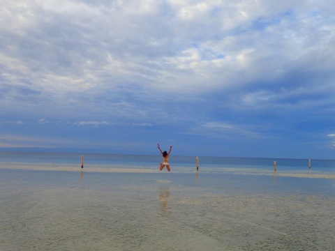 Tori's Backpacker's Paradise