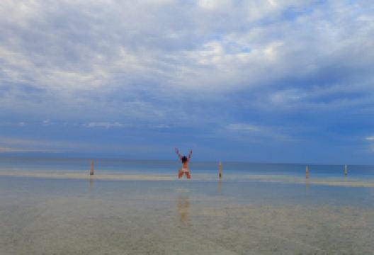 Tori's Backpacker's Paradise美食图片