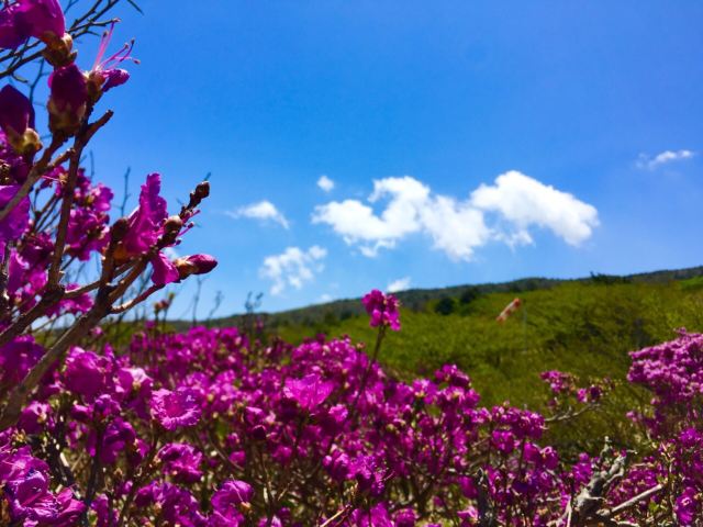 한라산 국립공원