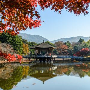 Nara City