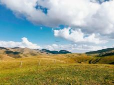 大海草山-会泽-YoYo_8F7A4K1J