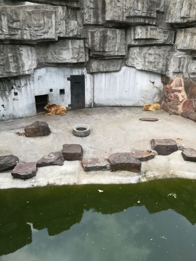 Heping Park