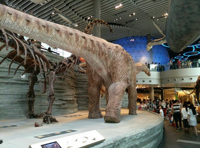 Shanghai Natural History Museum