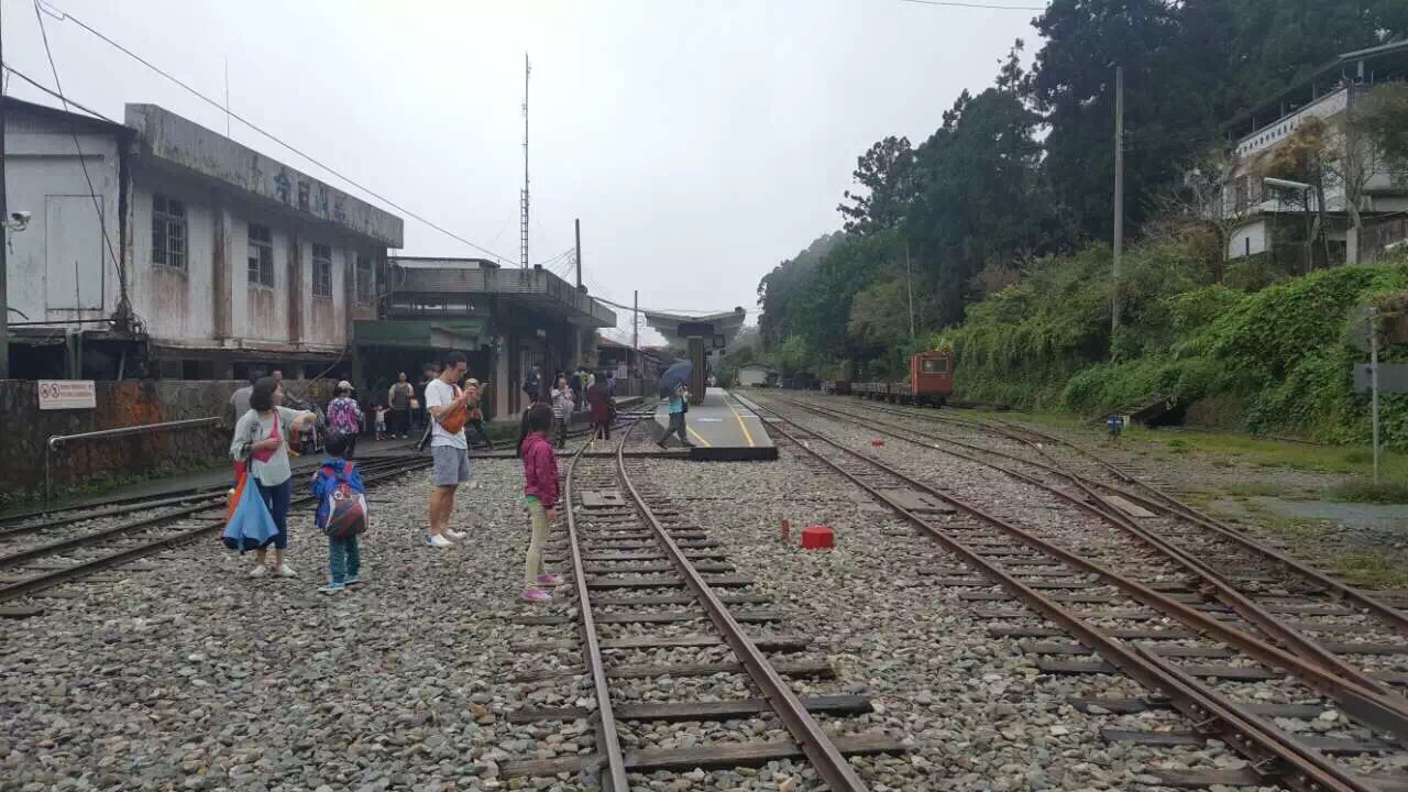 阿里山森林小铁路，强烈推荐