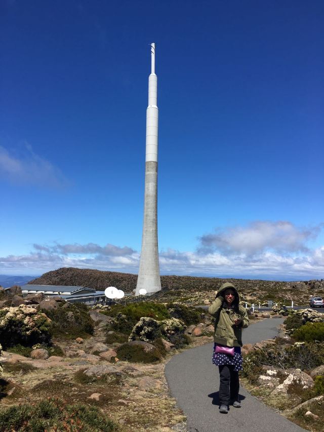 威靈頓山