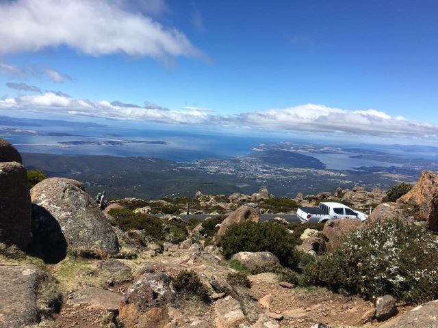 威靈頓山