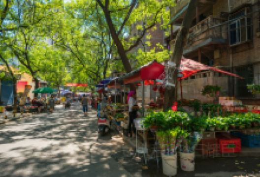 西仓花鸟市场购物图片