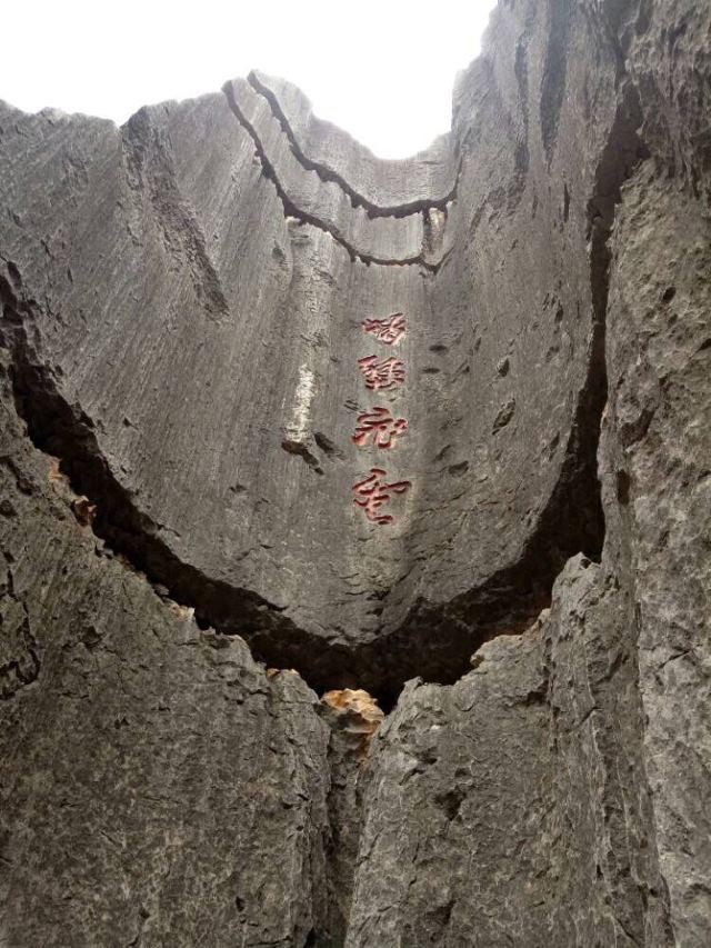 Stone Forest