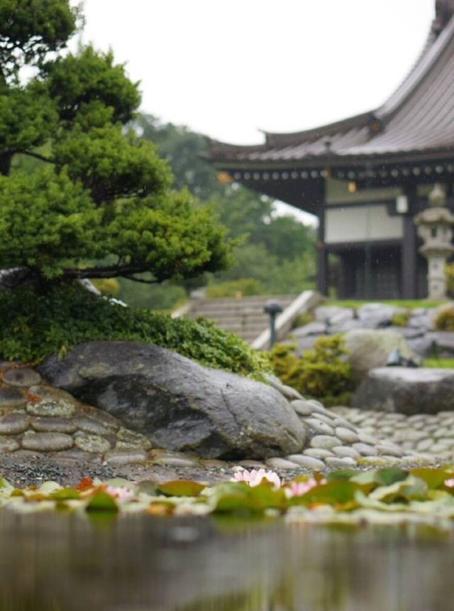 Eko Haus Der Japanischen Kultur E V Attractions 张老师