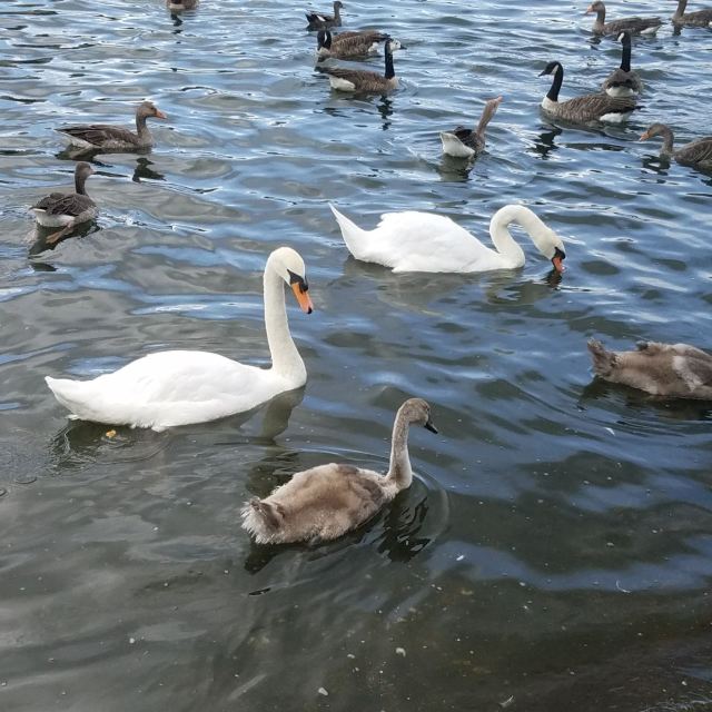 Hyde Park