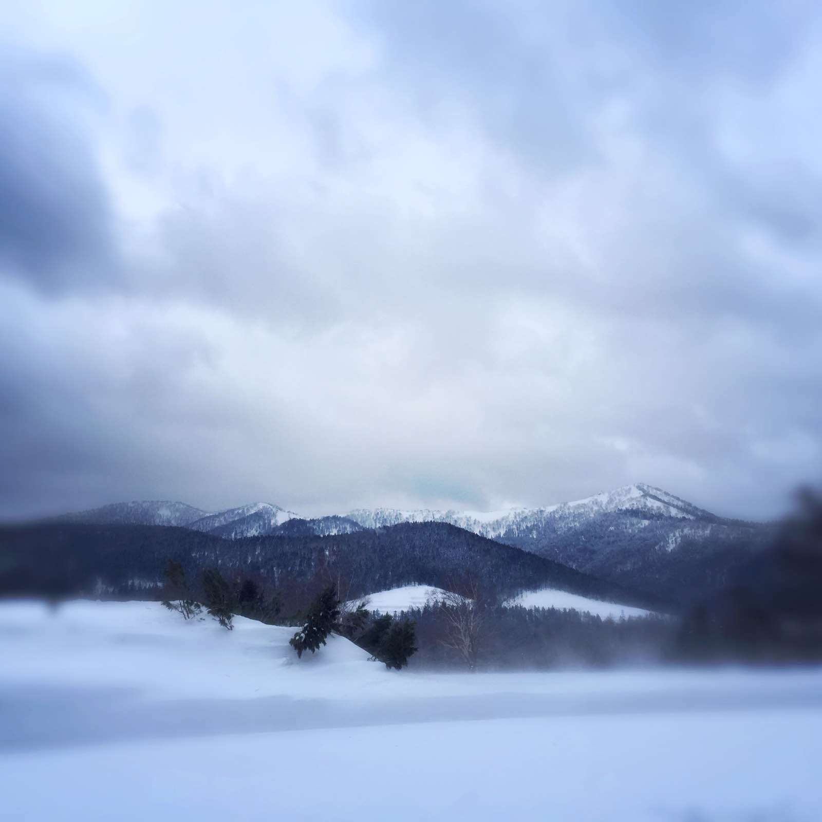 北海道的雪